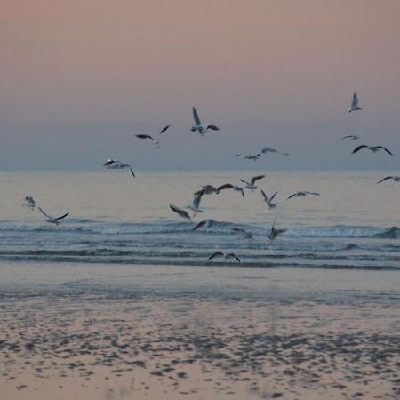 Holiday Home Omaha Beach With Garden Aignerville Esterno foto